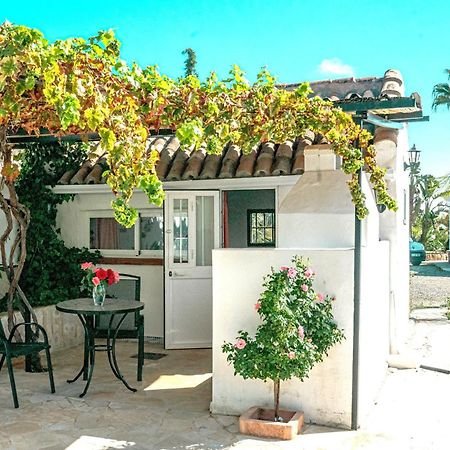 Tiny House 12M2 In Holiday Park With 55 M2 Pool Tolox Exterior photo