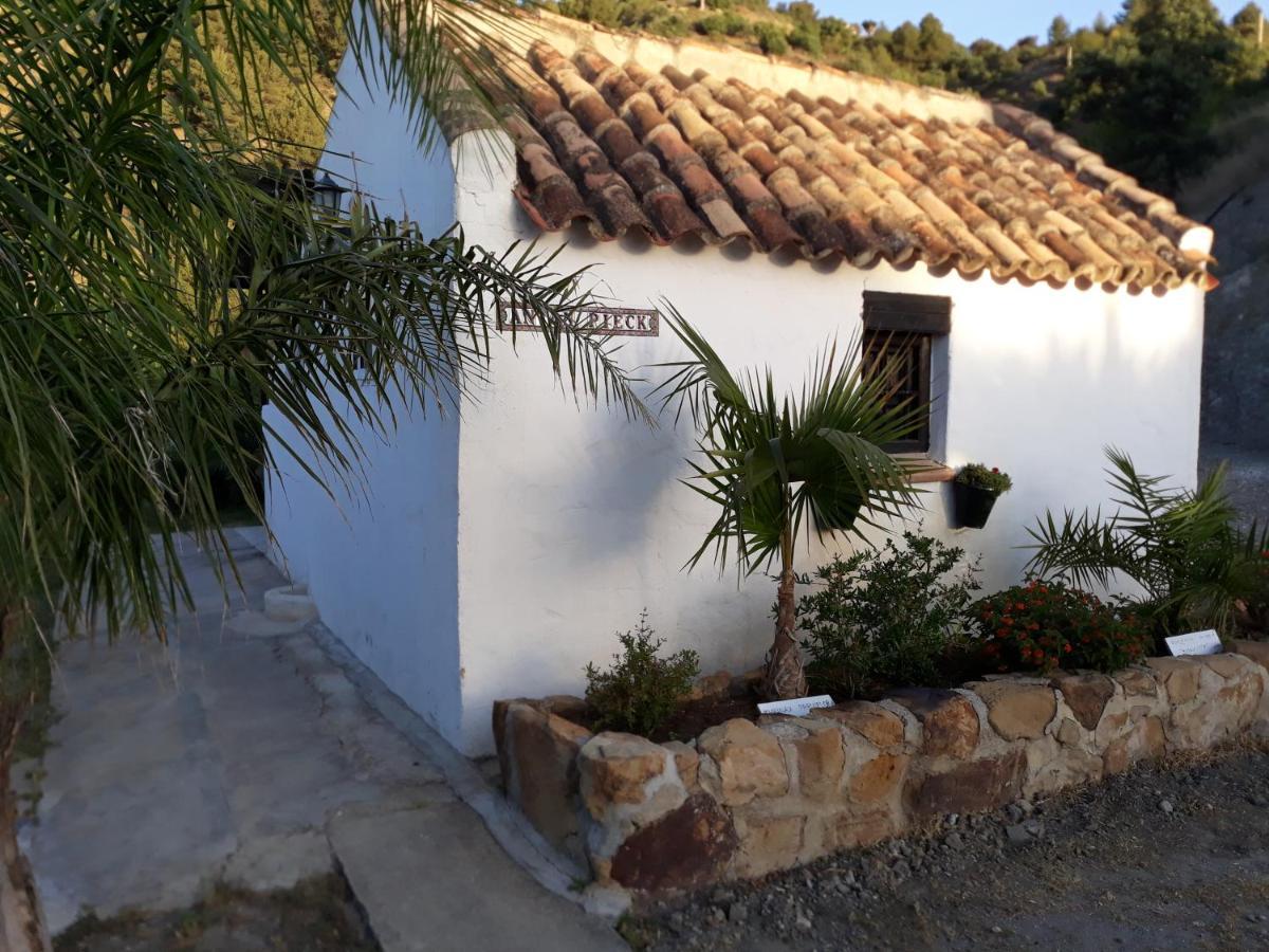Tiny House 12M2 In Holiday Park With 55 M2 Pool Tolox Exterior photo